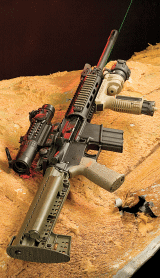 bushmaster21.gif