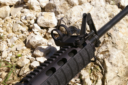 dpms-csat-perimeter-mount
