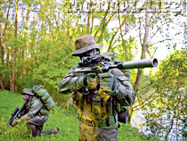 steyrmannlicher011_1