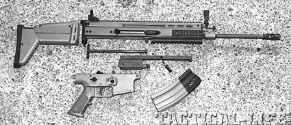 scar-fieldstripped scar-fieldstripped