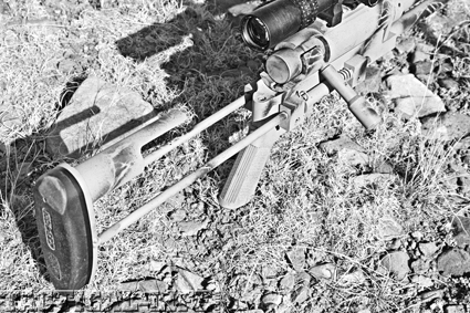 noreen-url-338-lapua-d