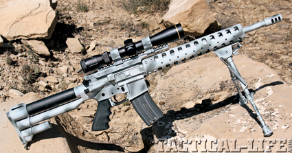 dl-sports-perimeter-carbine-556mm-b