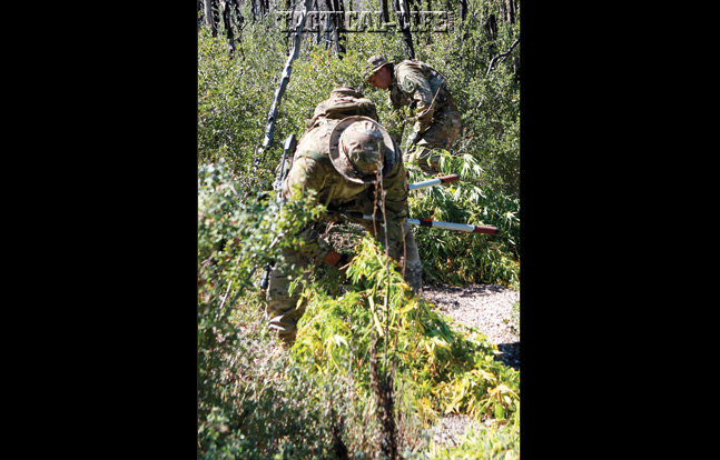 The MET removed the marijuana crop, thousands of feet of irrigation piping and bags of illegal pesticides that would have contaminated Los Angeles County’s water supply.