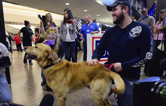 Marine canine adoption