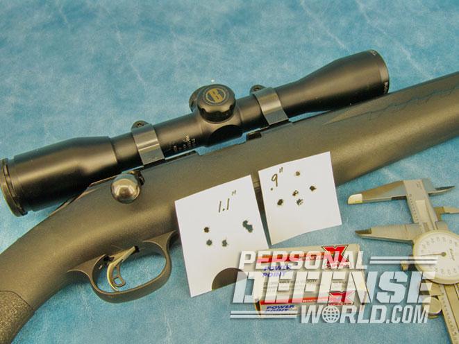 ruger, ruger american rimfire, ruger american rimfire rifle, american rimfire, american rimfire rifle, american rimfire .22 lr, ruger american rifle .22 lr, ruger american rimfire target