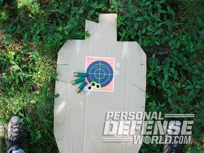 Stevens 320, savage arms Stevens 320, savage arms, Stevens 320 shotgun, Stevens 320 pump shotgun, stevens 320 target