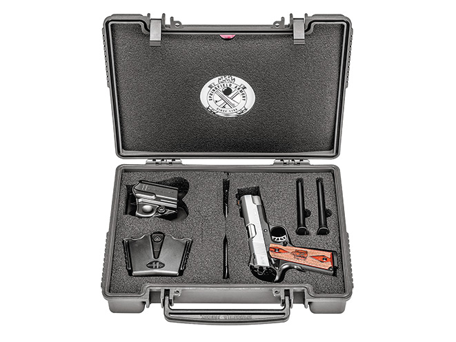 springfield, springfield armory, springfield armory EMP 4" Lightweight Champion, EMP lightweight champion, springfield emp
