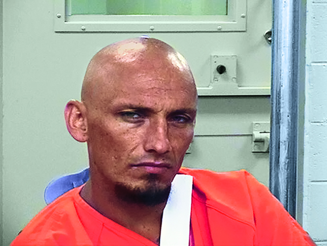 armed citizens carjacking