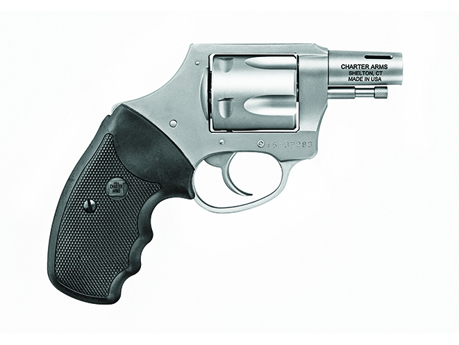 Charter Arms Boomer guns