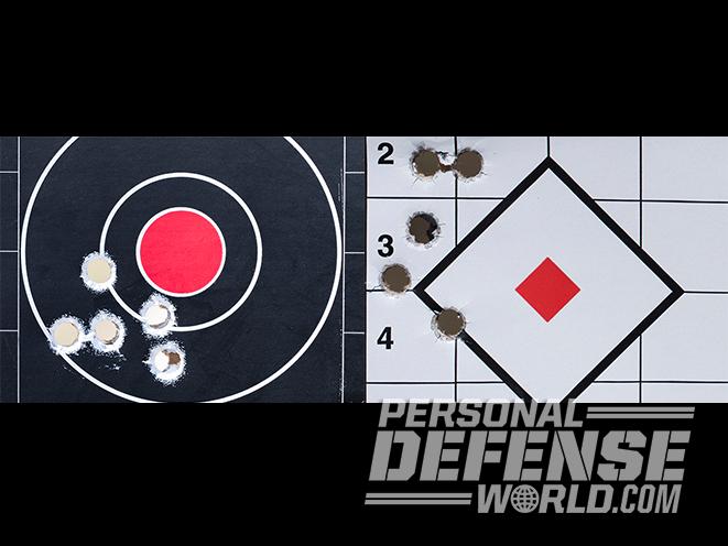 Ruger GP100 & S&W Model 69 target