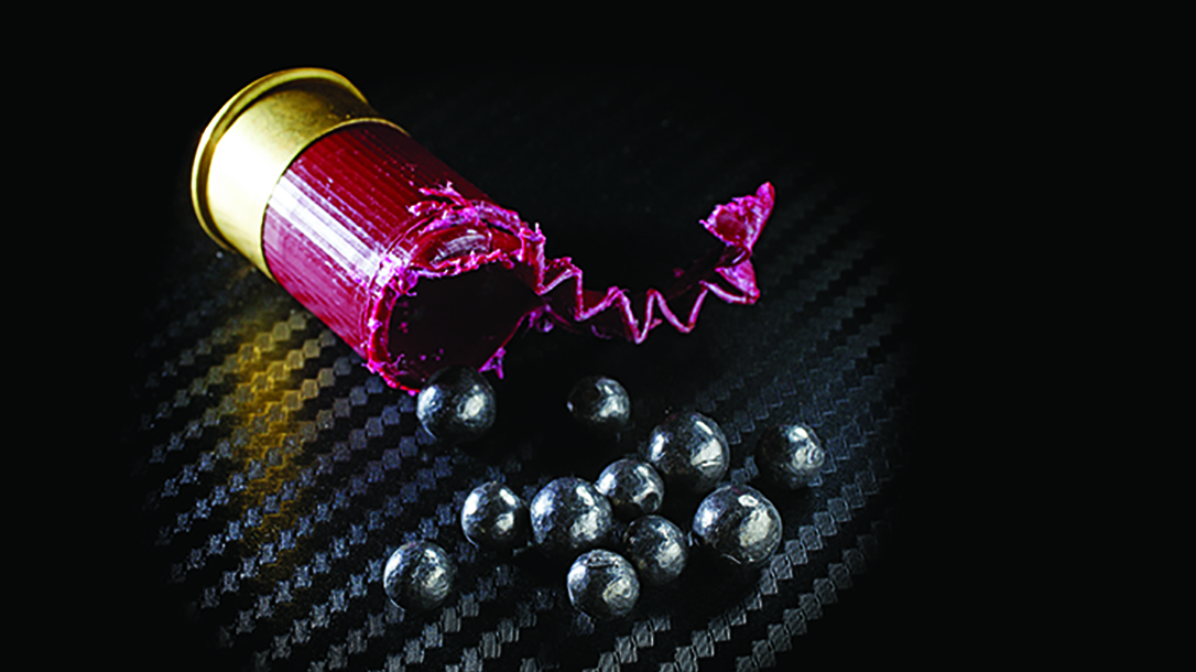 buckshot shotgun shell