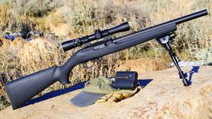 Must-Have Guns Remington 10/22 Rifle