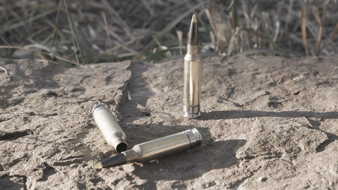 www.tactical-life.com