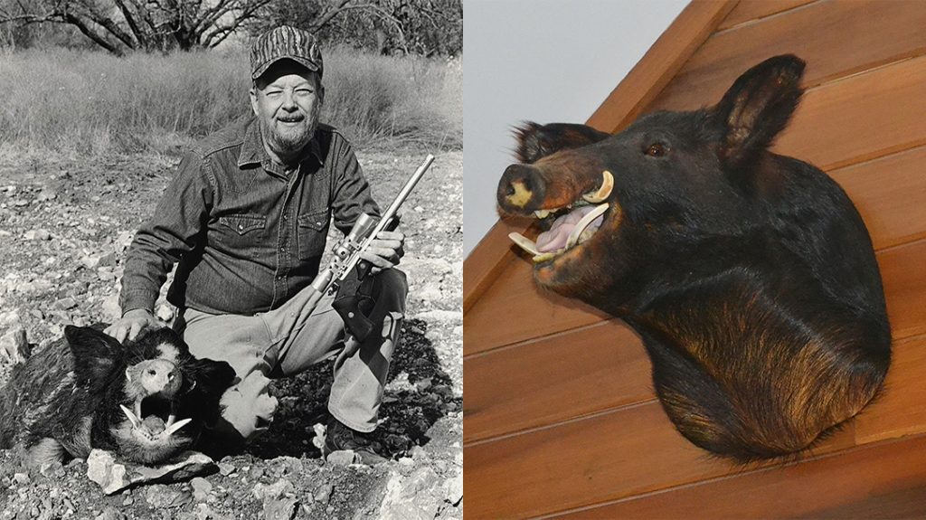 Boar Hunting, Hog Hunting, Hand Cannon