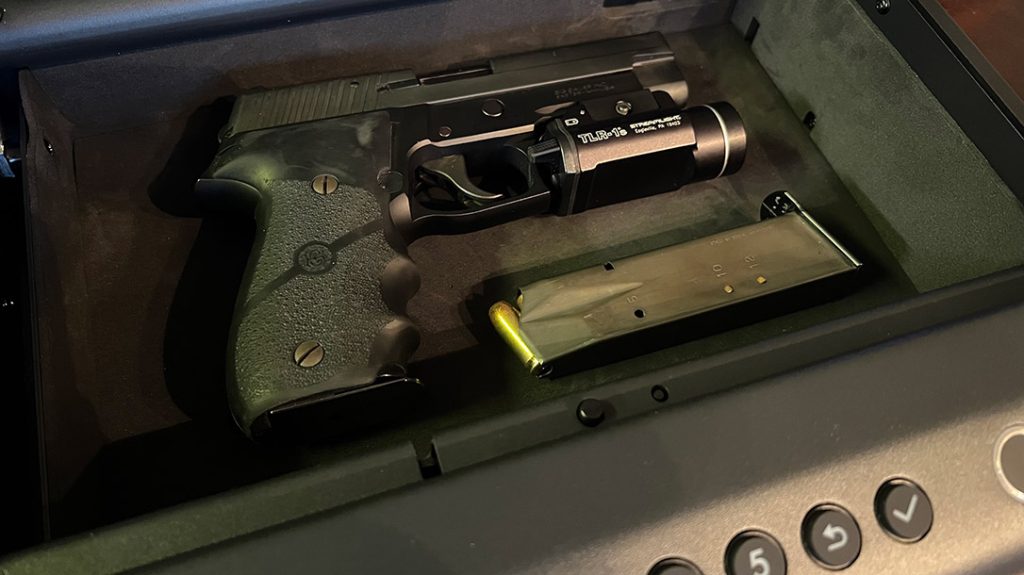 My SIG P226 with Hogue grips and Streamlight gun light fit easily with an extra magazine.