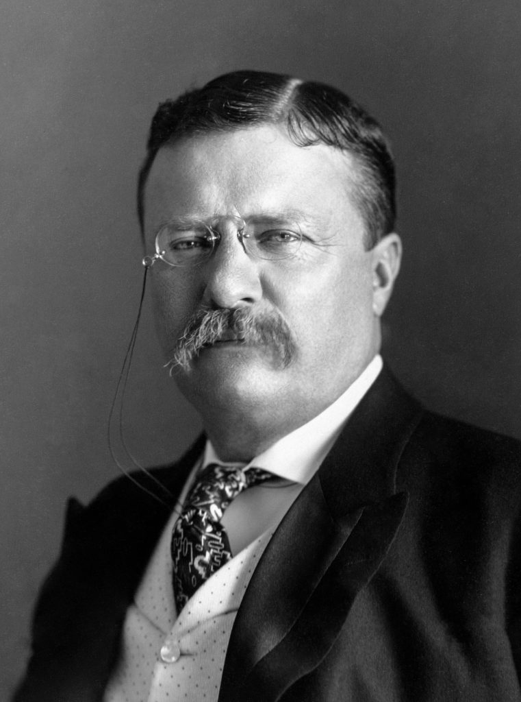 theodore "teddy" roosevelt