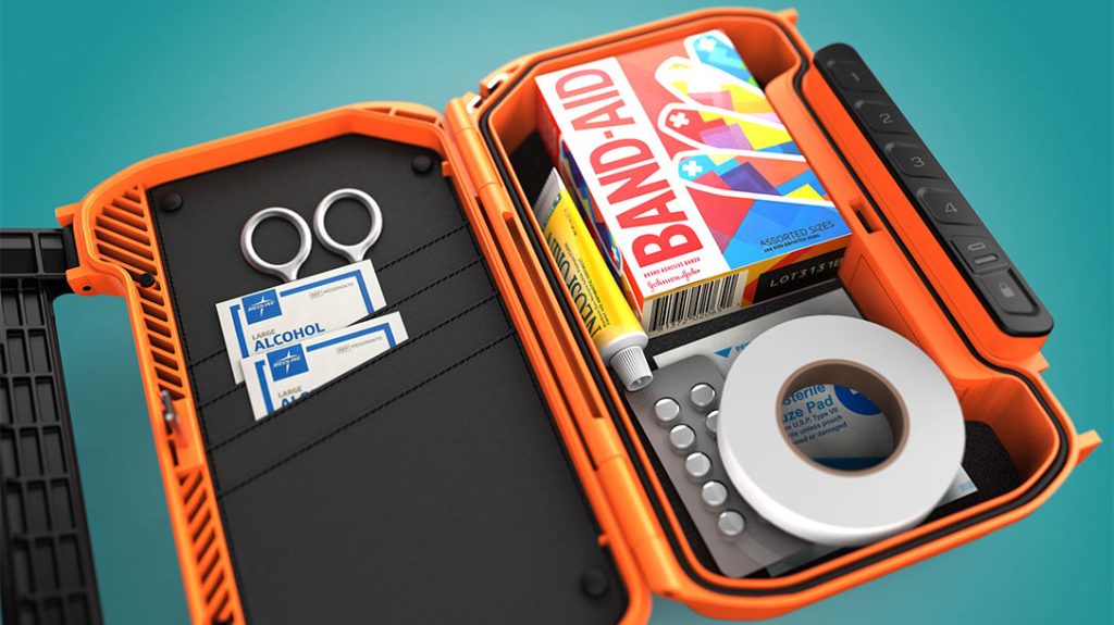 The Vaultek Lifepod X Safe.