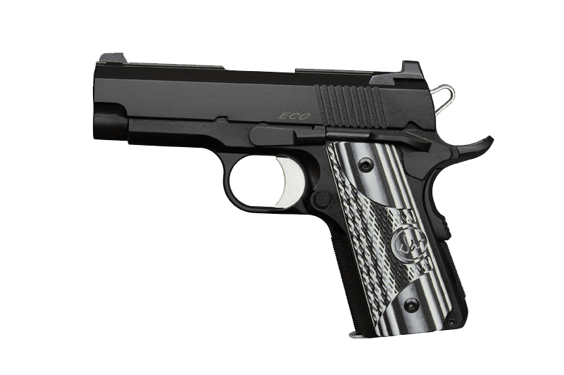 dan wesson eco