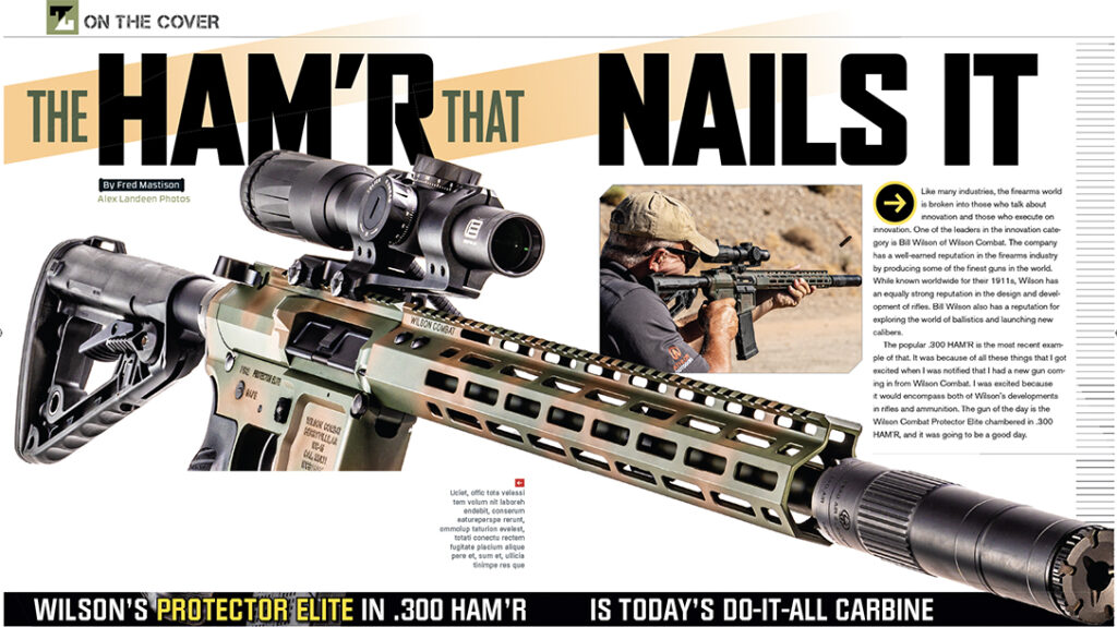 Wilson Combat AR in .300 HAM'R