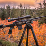 How to Choose a Rifle: 4 Considerations Before You Buy.
