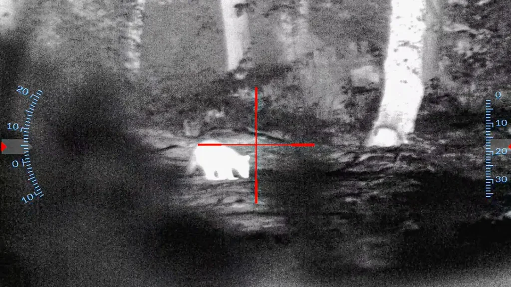 Predator viewed through thermal optic. 