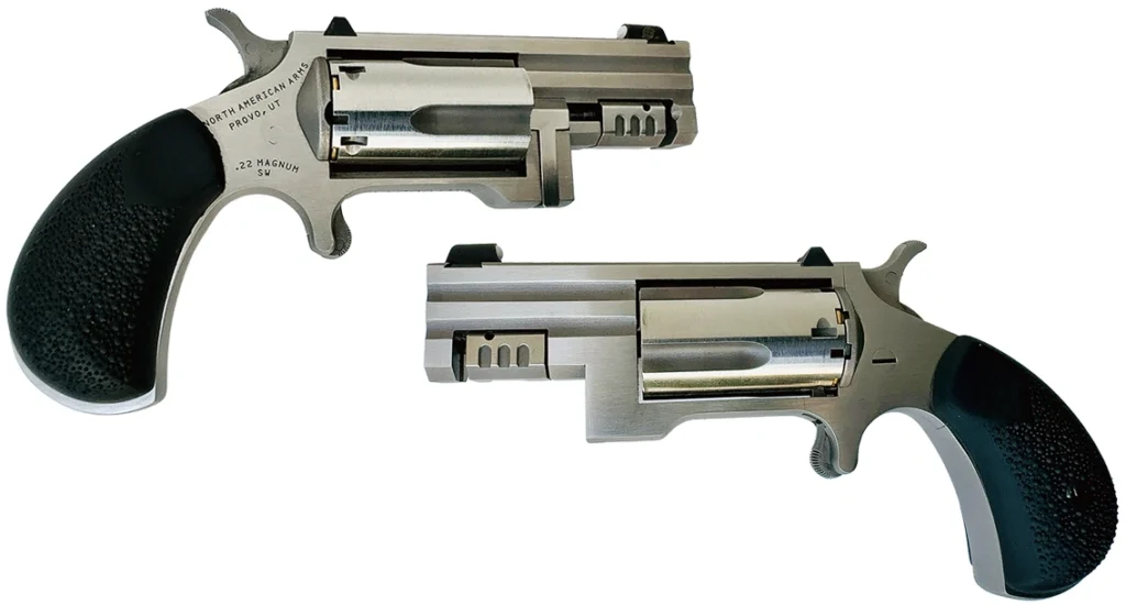 The North American Arms Sentinel.