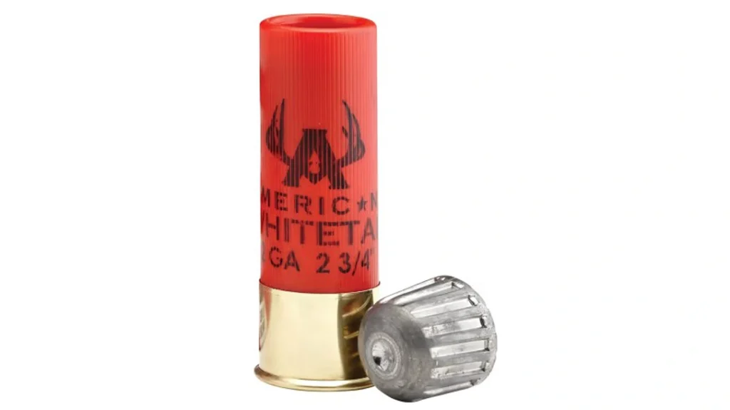 Slug shotgun ammo.
