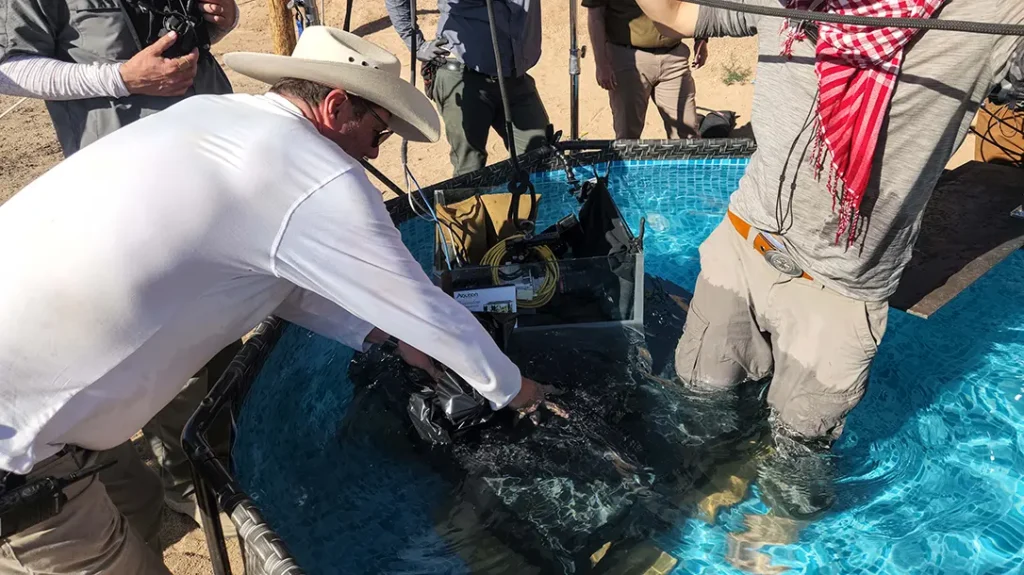 Filming a shot of a gun firing under water.