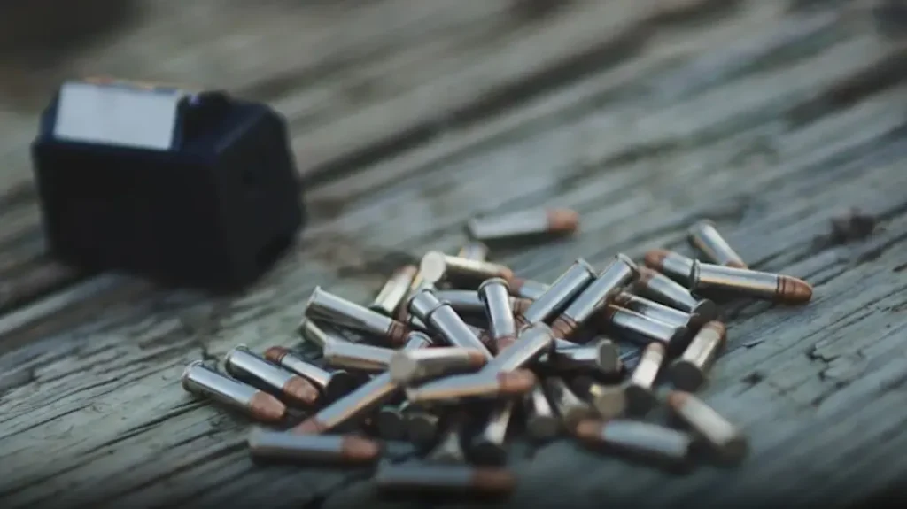 It comes chambered in .22LR