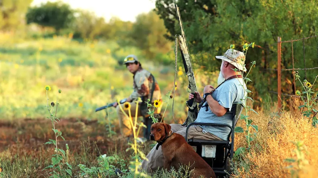 A group Texas dove hunting with a dog. 