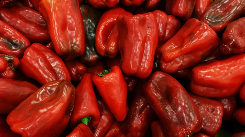 Oleoresin Capsicum (OC) used in pepper spray is an oil-based extract derived from chili peppers.