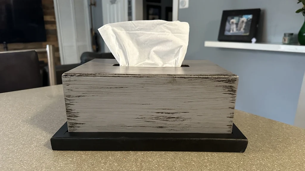 Clandestine tissue box.