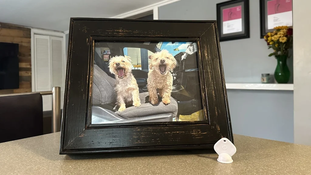 Clandestine picture frame.