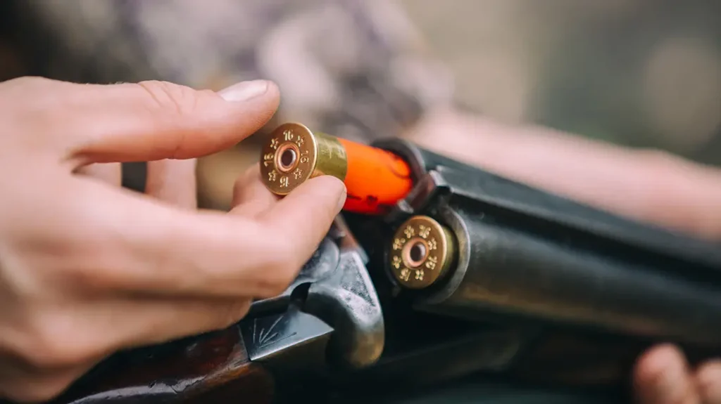 birdshot shotgun shell