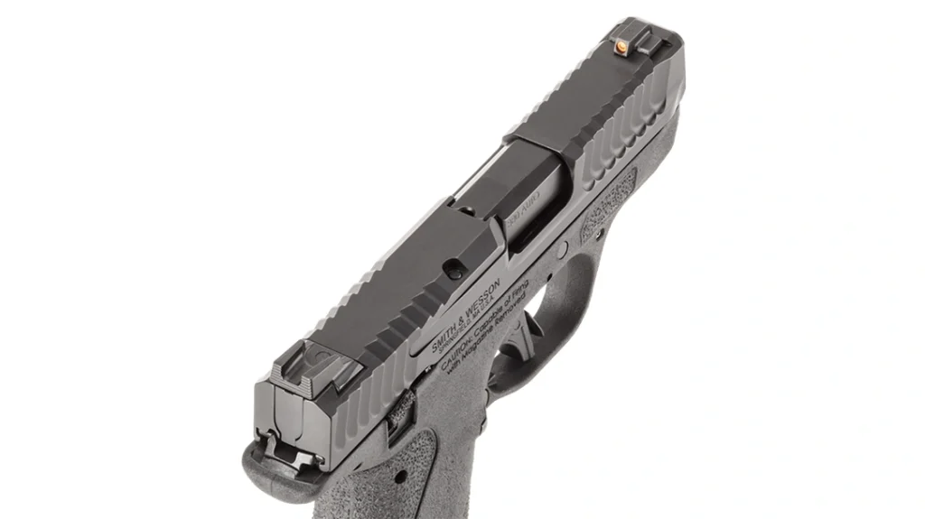 The bright dot front sight with tritium insert is easy to pick up on in daytime and low-light scenarios.