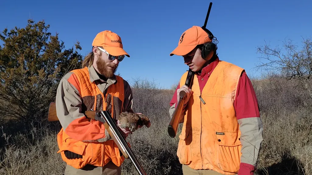 Shooting over a dove field. 