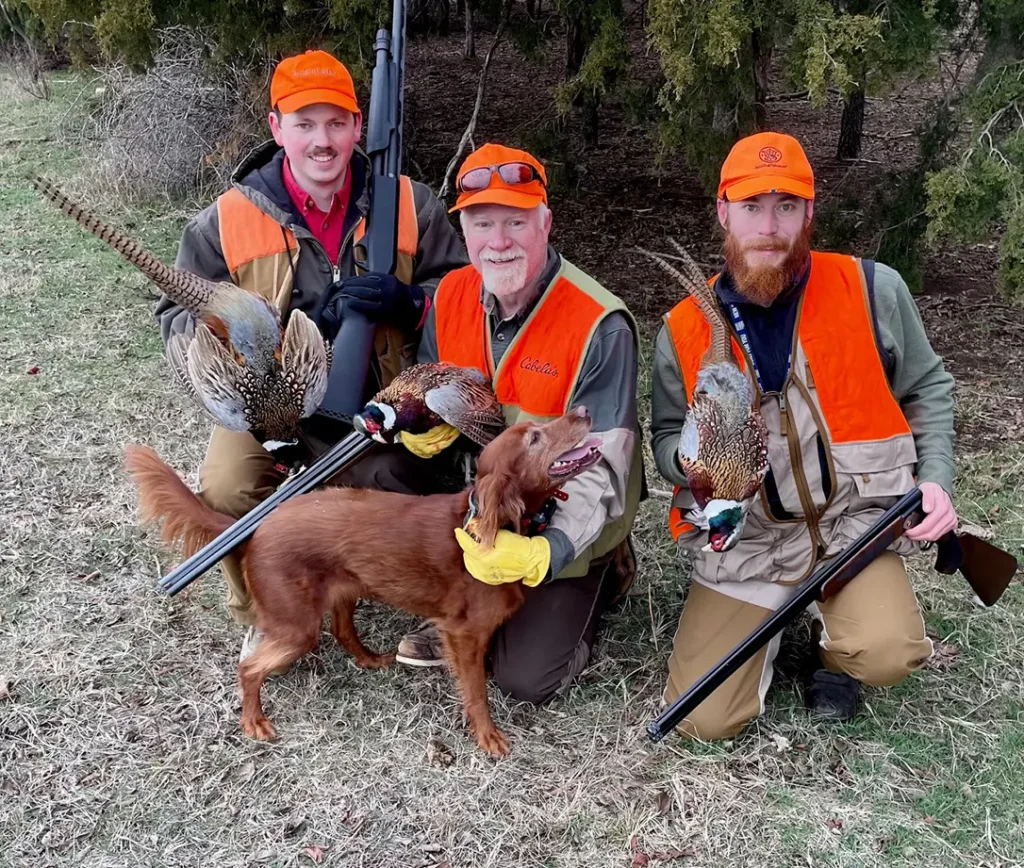 Bird hunting for pheasant. 