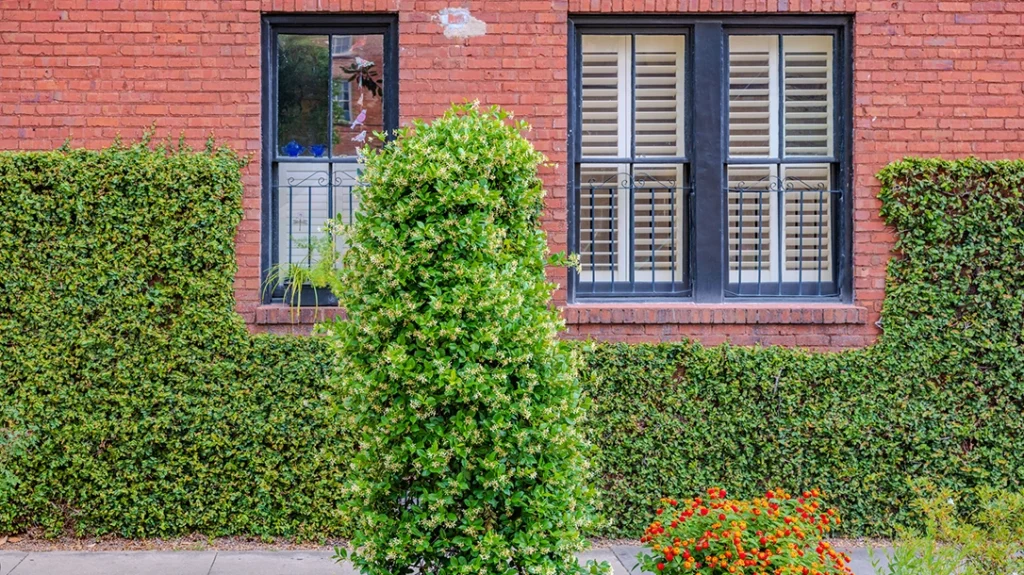 Fortify your home and yard.