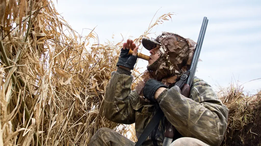 Waterfowl hunting requires camouflage and concealment. 