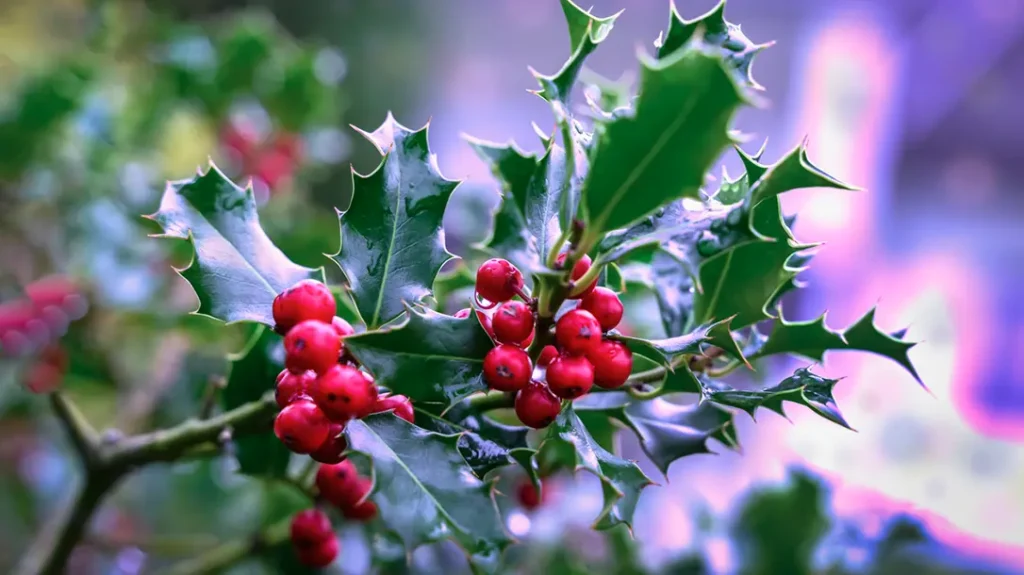 Christmas in the Old West