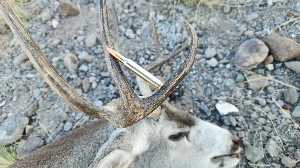 Federal’s 7mm Backcountry - Proven Performance.