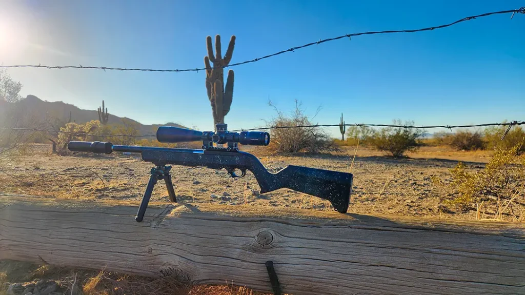 Ruger 10/22 Carbon Fiber