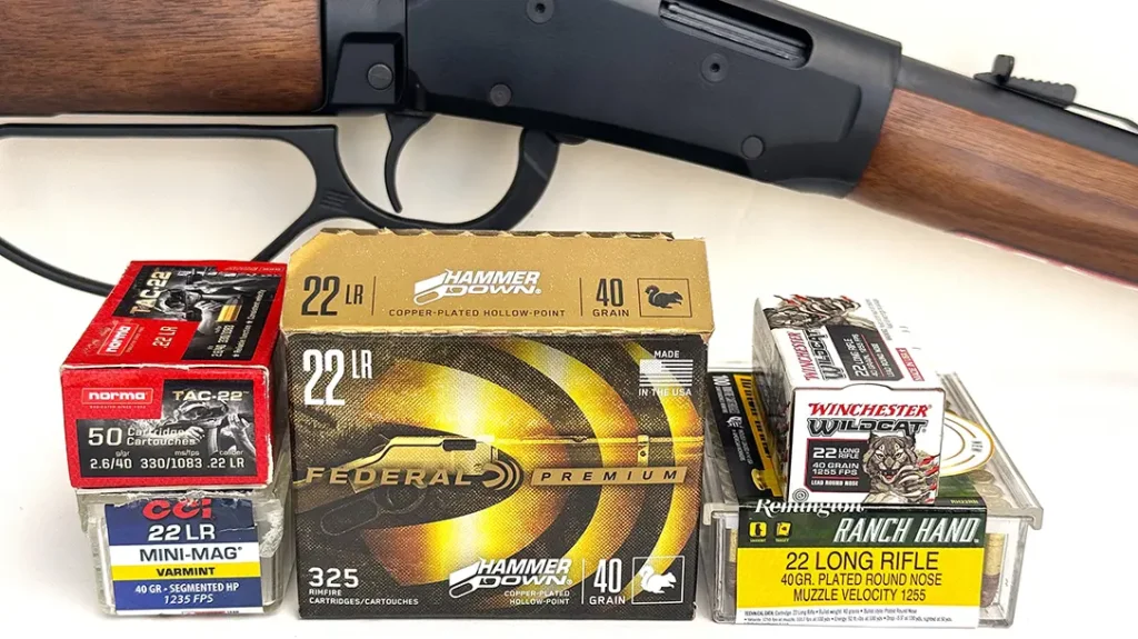 Ammo used in testing the .22 LR Revel Classic. 