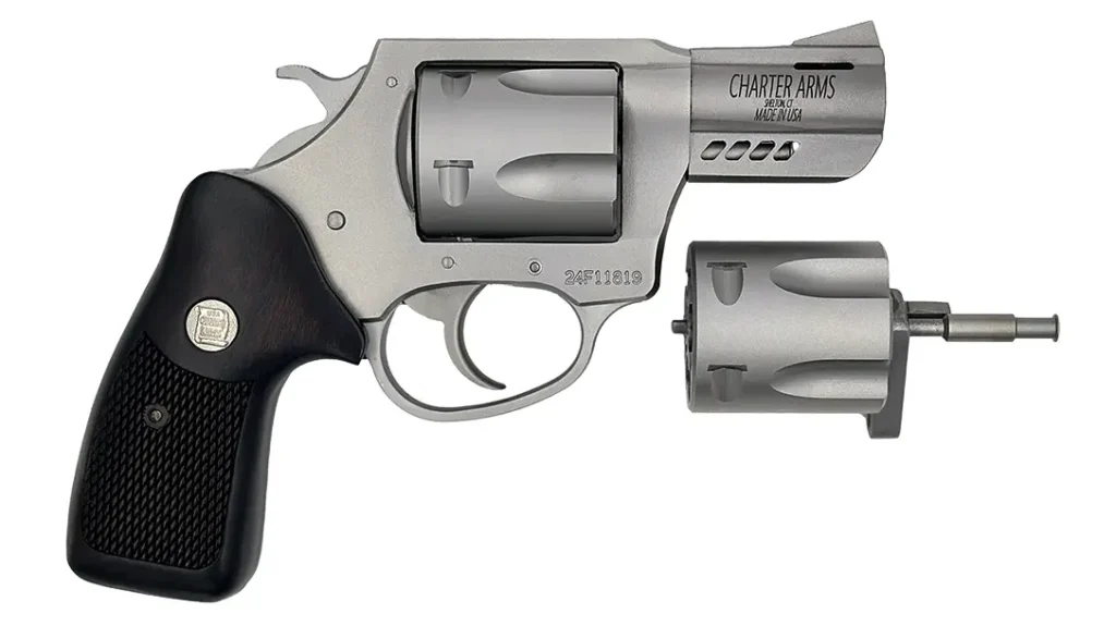 The Charter Arms Double Dog in stainless steel.