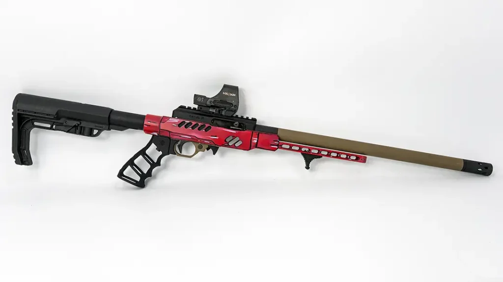 Full-length of .22 LR competition build.