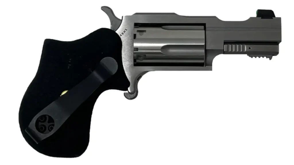 The North American Arms Rule 1 Gun.