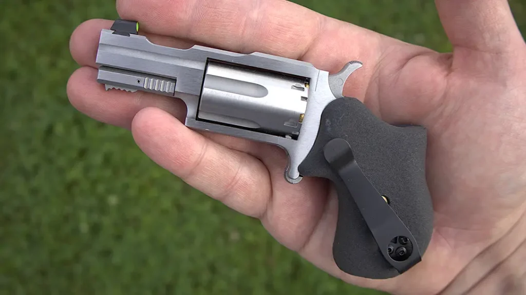 The author is a fan of the North American Arms Mini platform, and the Rule 1 gun is no exception.