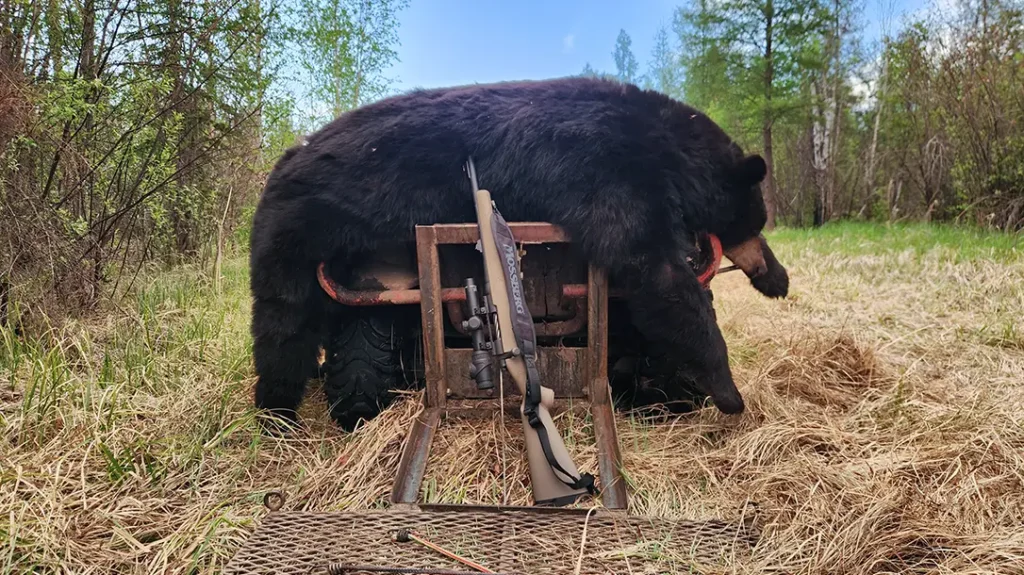 Trijicon Accupoint 1-6. Perfect for hunting and tactical use.