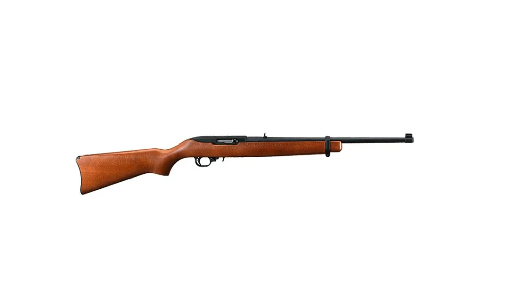 Ruger 10-22