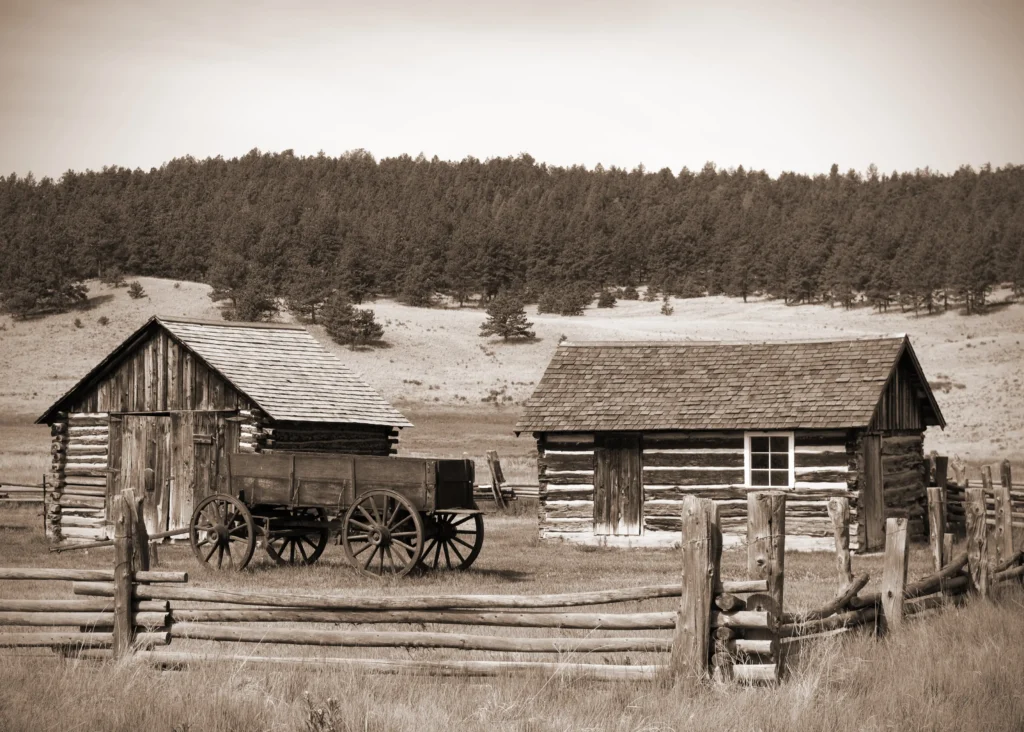 Homesteaders used Blunderbusses to defend their property from thieves and predatory animals. 